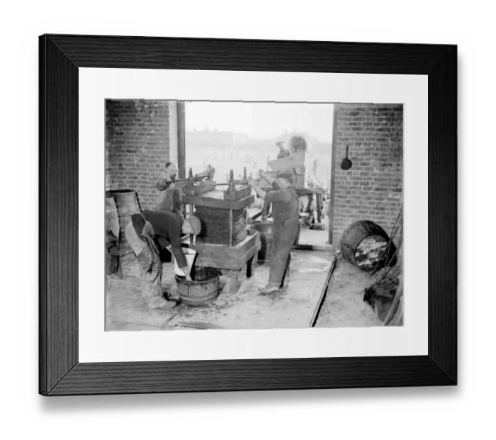 Framed Print : Crockenhill Woods. 1934 Framed Print : Crockenhill Woods. 1934