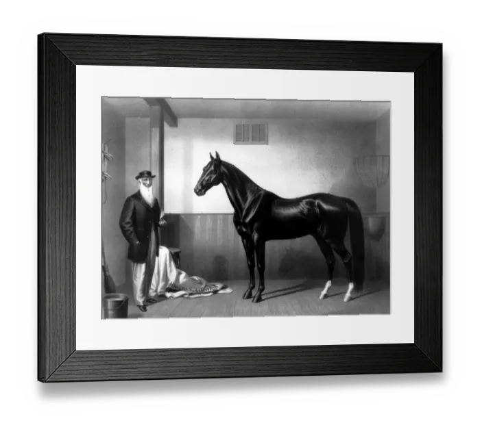 Framed Print : William Rysdyks Hambletonian 1865, Father of the Trotting Horse. His employer, Seeley