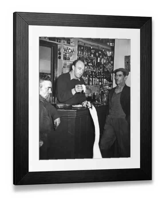 Framed Print : Charlie the Swan, a regular visitor to The Rising Sun in Shoreham, Kent