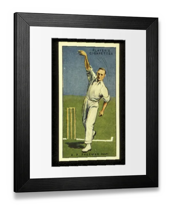 Framed Print : A P Freeman Tich Freeman Kent and England Cricket 1930