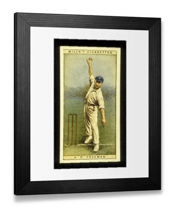 Framed Print : A P Freeman Tich Freeman Kent and England Cricket 1928