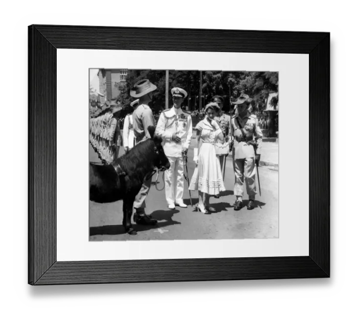 Framed Print : Queen Elizabeth II and Duke of Edinburgh inspecting Guard of Honour 1st Batt Royal Framed Print : Queen Elizabeth II and Duke of Edinburgh inspecting Guard of Honour 1st Batt Royal