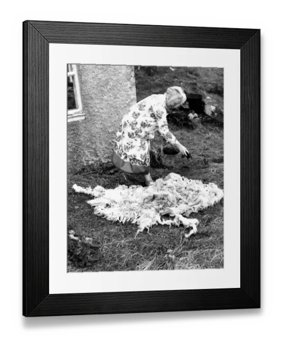 Framed Print : Royal weaver of Harris, Mrs McDonald. Putting rock crottal on wool to prepare it for dyeing Framed Print : Royal weaver of Harris, Mrs McDonald. Putting rock crottal on wool to prepare it for dyeing