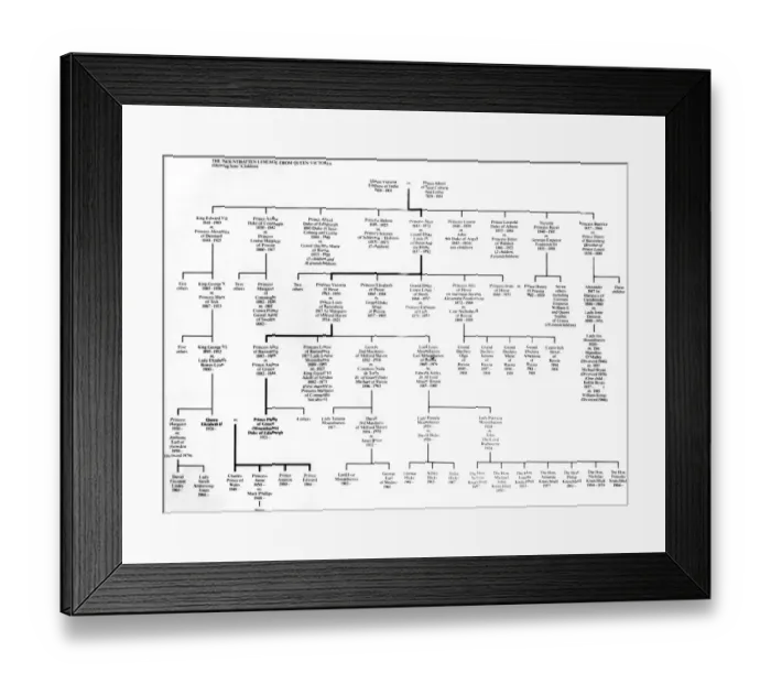 Framed Print : Royal Family Tree. Saxon and Danish Kings of England