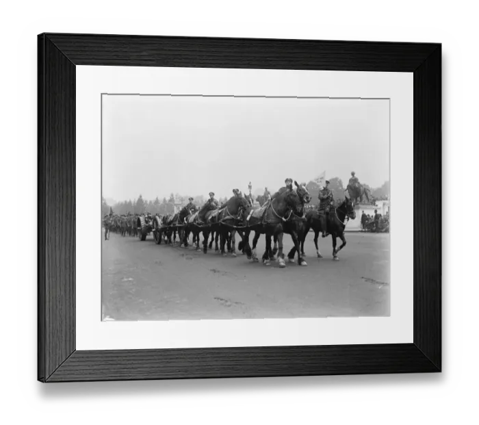 Framed Print : County of London troops march through London. Royal Garrison Artillery. 5 July 1919 Framed Print : County of London troops march through London. Royal Garrison Artillery. 5 July 1919