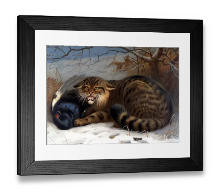 Framed Print : Illustration of a wild cat from Richard Lydekkers Royal Natural History, 1896