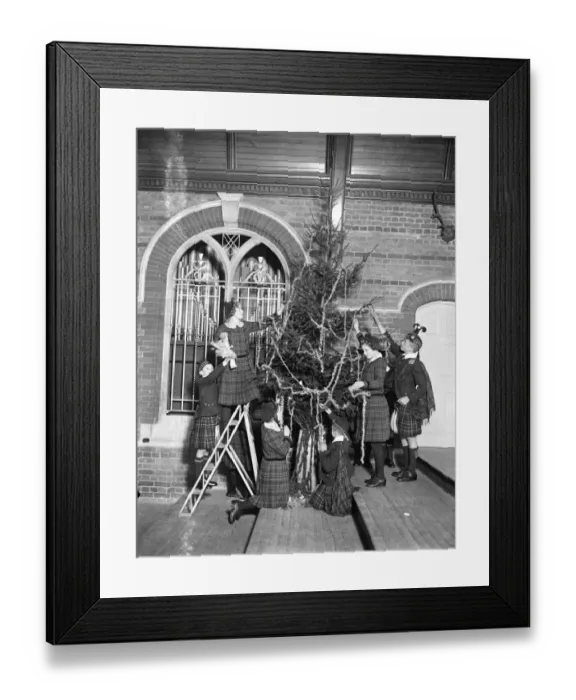 Framed Print : Dressing Christmas tree at Royal Caledonian Schools. Dressing the Christmas tree Framed Print : Dressing Christmas tree at Royal Caledonian Schools. Dressing the Christmas tree