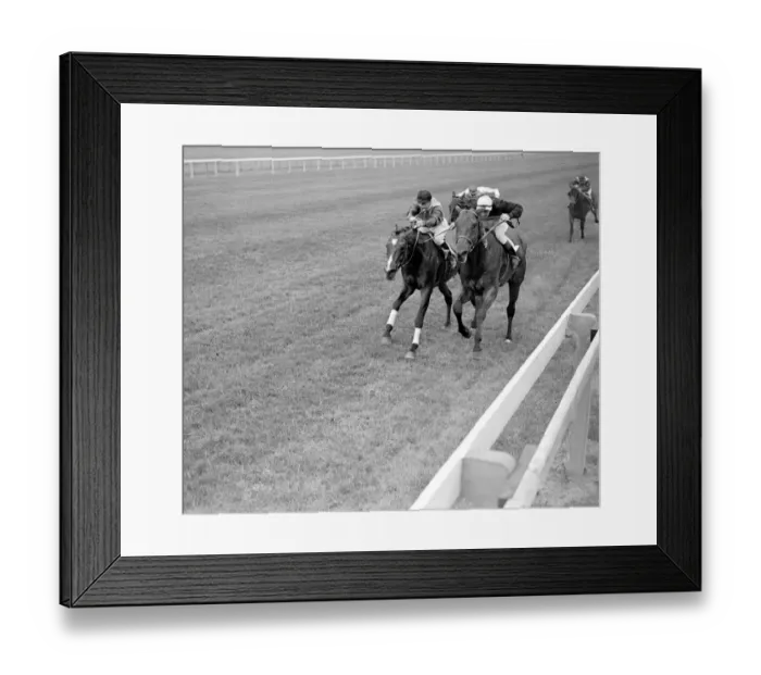Framed Print : Newbury. Sabot (right), winner, nearing the finish of the Royal Plate 22 June 1938 Framed Print : Newbury. Sabot (right), winner, nearing the finish of the Royal Plate 22 June 1938