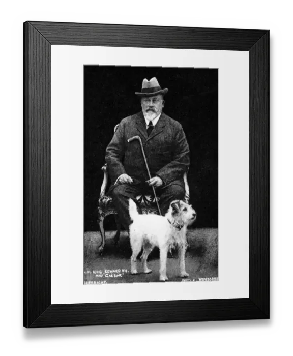 Framed Print : King Edward VII and his dog Caesar c. 1905 by Pottle