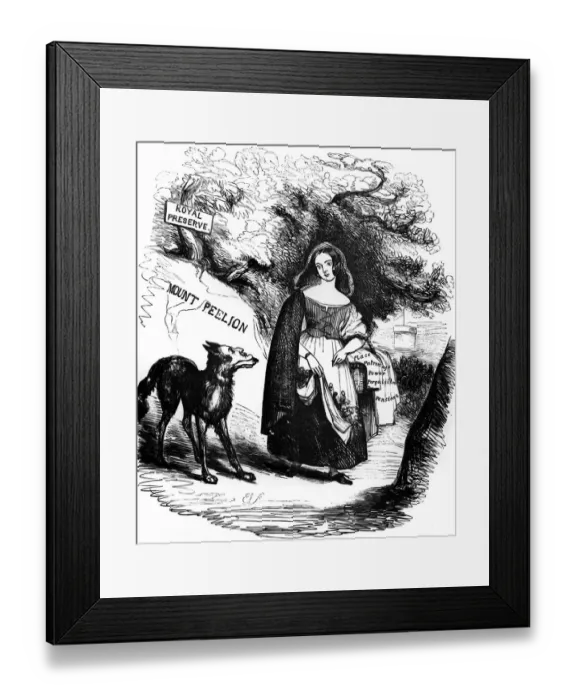 Framed Print : The Royal Red Riding Hood and the Ministerial Wolf from Punchs Pencillings No. IX ?TopFoto Framed Print : The Royal Red Riding Hood and the Ministerial Wolf from Punchs Pencillings No. IX ?TopFoto