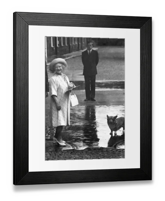 Framed Print : The Queen Mother outside her home at Clarence House on her 84th birthday with a royal corgi Framed Print : The Queen Mother outside her home at Clarence House on her 84th birthday with a royal corgi