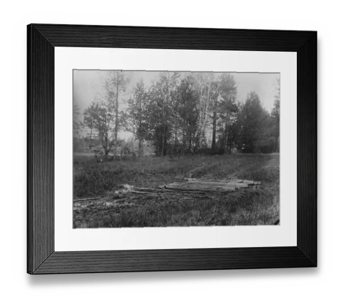 Framed Print : A spot in the wood near Ekaterinburg where remains of Russian Royal family have been