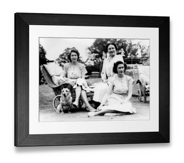 Framed Print : The wheeled easy chairs on the lawn are just the thing to enjoy a quiet sunny afternoon Framed Print : The wheeled easy chairs on the lawn are just the thing to enjoy a quiet sunny afternoon