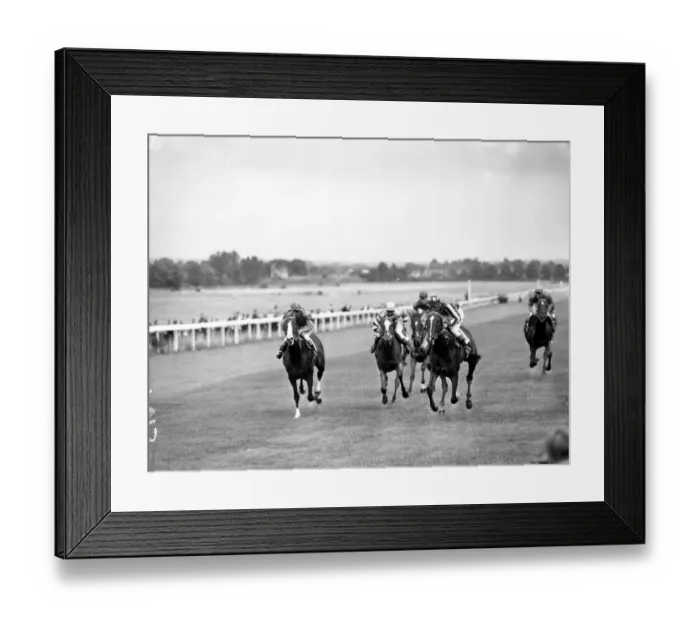Framed Print : The finish of the Rose Stakes at Sandown Park today. First is FAir Set, withs Clayton up Framed Print : The finish of the Rose Stakes at Sandown Park today. First is FAir Set, withs Clayton up