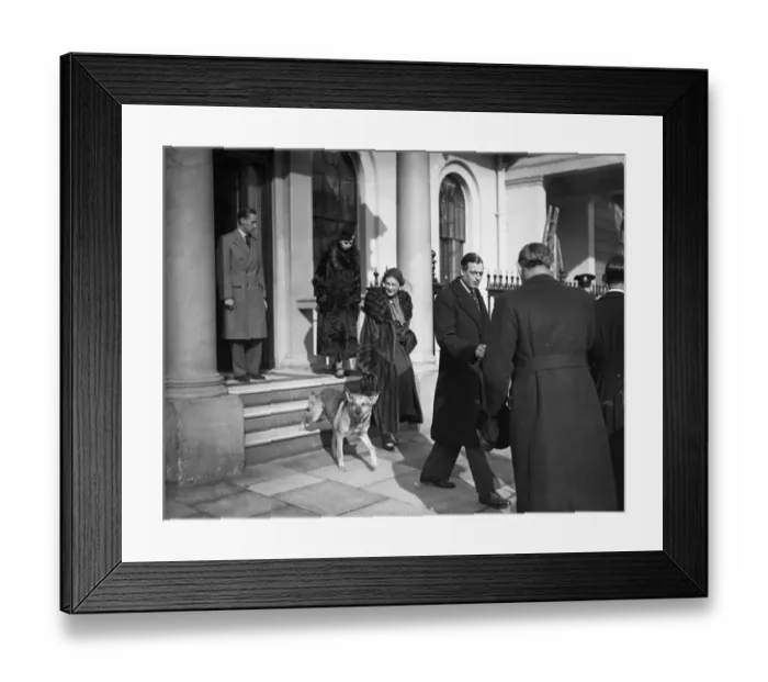 Framed Print : The Duke and Duchess of Kent, and their alsatian leaving home in Belgrave Square Framed Print : The Duke and Duchess of Kent, and their alsatian leaving home in Belgrave Square