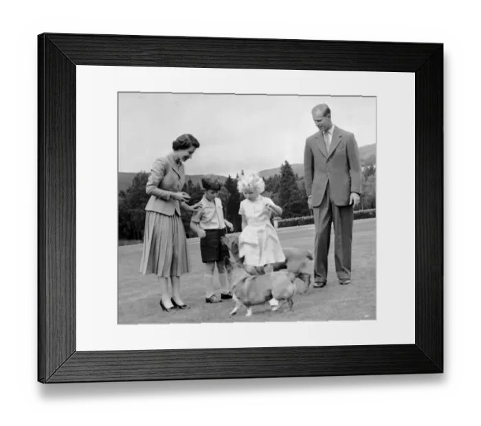 Framed Print : Royal Family play with their corgis. Queen Elizabeth and the Duke of Edinburgh with Framed Print : Royal Family play with their corgis. Queen Elizabeth and the Duke of Edinburgh with