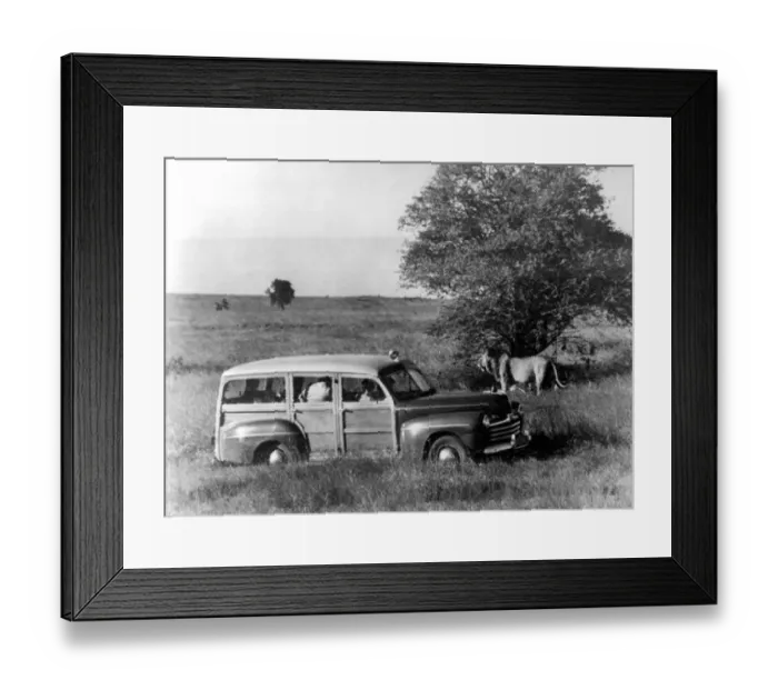 Framed Print : Princess Elizabeth is the toast of the white hunters of East Africa. Armed with Framed Print : Princess Elizabeth is the toast of the white hunters of East Africa. Armed with