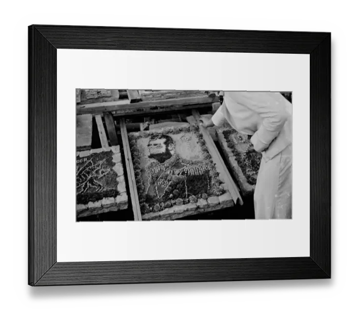Framed Print : A portrait of of King George V in flowers. 1935 Framed Print : A portrait of of King George V in flowers. 1935