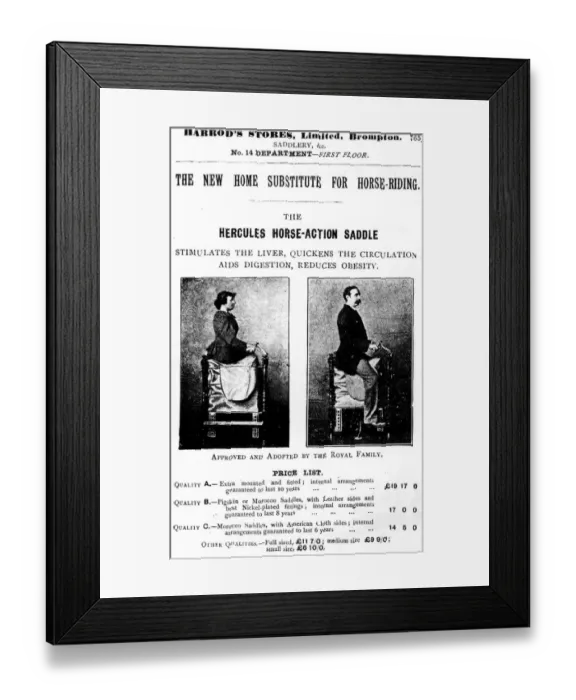Framed Print : The new home substitute for horse-riding Stimulates the liver, quickens the circulation