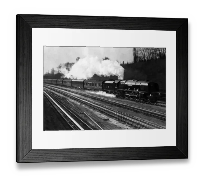 Framed Print : The Royal Scot drawn by Locomotive City of London at speed at Bushey Hertfordshire Framed Print : The Royal Scot drawn by Locomotive City of London at speed at Bushey Hertfordshire