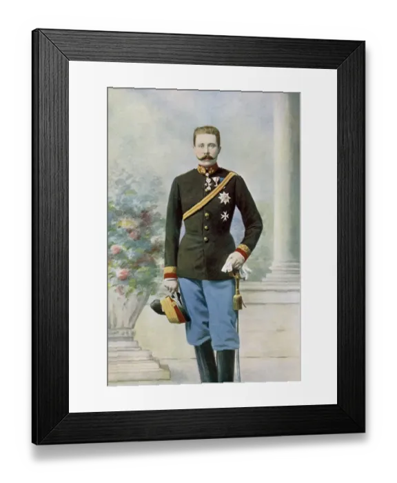 Framed Print : His Royal Highness The Grand Duke Ferdinand of Austria - Francis Ferdinand Charles Framed Print : His Royal Highness The Grand Duke Ferdinand of Austria - Francis Ferdinand Charles