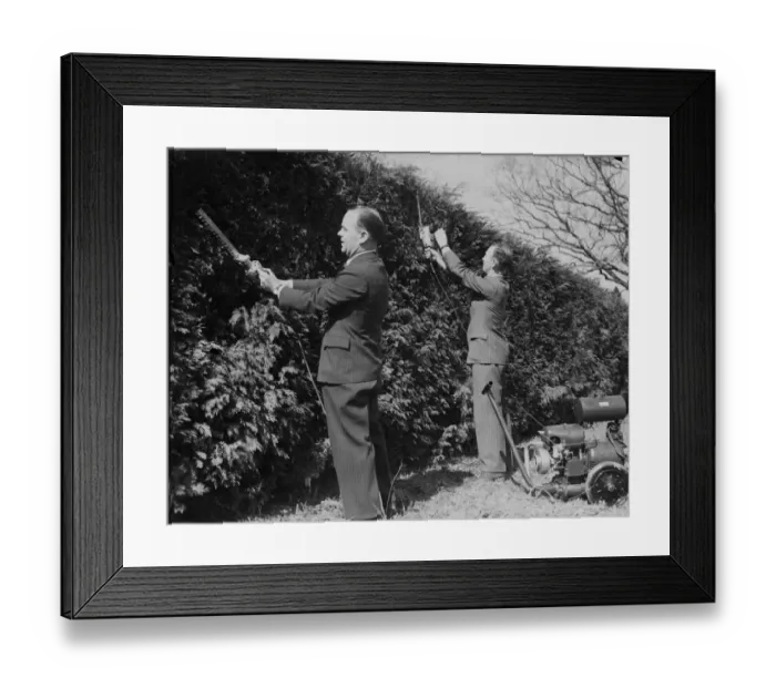 Framed Print : Many innovations which will make life easier for the amateur and professional gardener Framed Print : Many innovations which will make life easier for the amateur and professional gardener