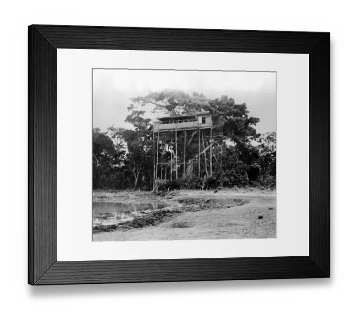 Framed Print : The Royal Visit to Kenya Their Royal Highnesses Princess Elizabeth and the Duke Framed Print : The Royal Visit to Kenya Their Royal Highnesses Princess Elizabeth and the Duke