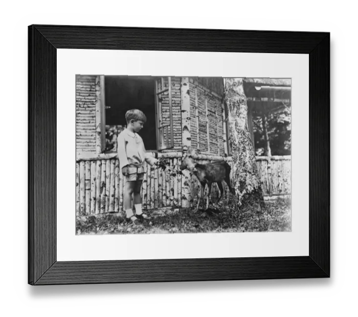 Framed Print : Heir to the throne of Yugoslavia. A charming photograph of little Prince Peter of Yugoslavia Framed Print : Heir to the throne of Yugoslavia. A charming photograph of little Prince Peter of Yugoslavia