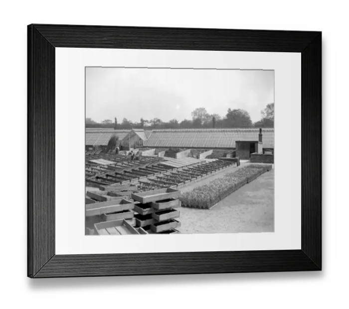 Framed Print : Hyde Park. A short distance from the Serpentine there is a 5 acre enclosure containing Framed Print : Hyde Park. A short distance from the Serpentine there is a 5 acre enclosure containing