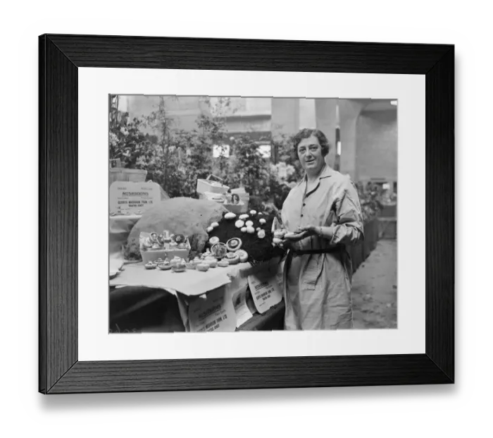 Framed Print : Woman authoress makes success of mushroom cultivation. Miss Amelia Defries, a Framed Print : Woman authoress makes success of mushroom cultivation. Miss Amelia Defries, a