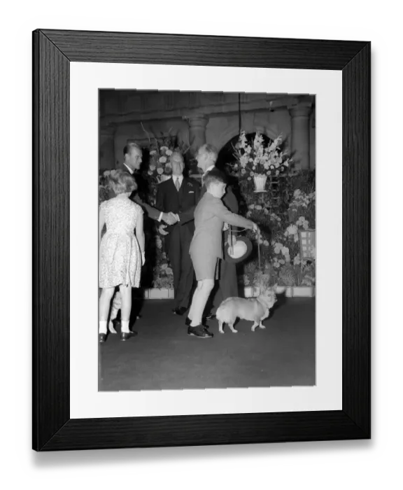 Framed Print : Prince Charles pushes the lead forward to guide the royal corgi at Euston Station Framed Print : Prince Charles pushes the lead forward to guide the royal corgi at Euston Station