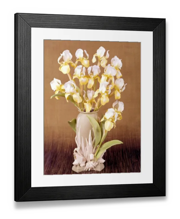 Framed Print : Royal Worcester Porcelain Irises Framed Print : Royal Worcester Porcelain Irises