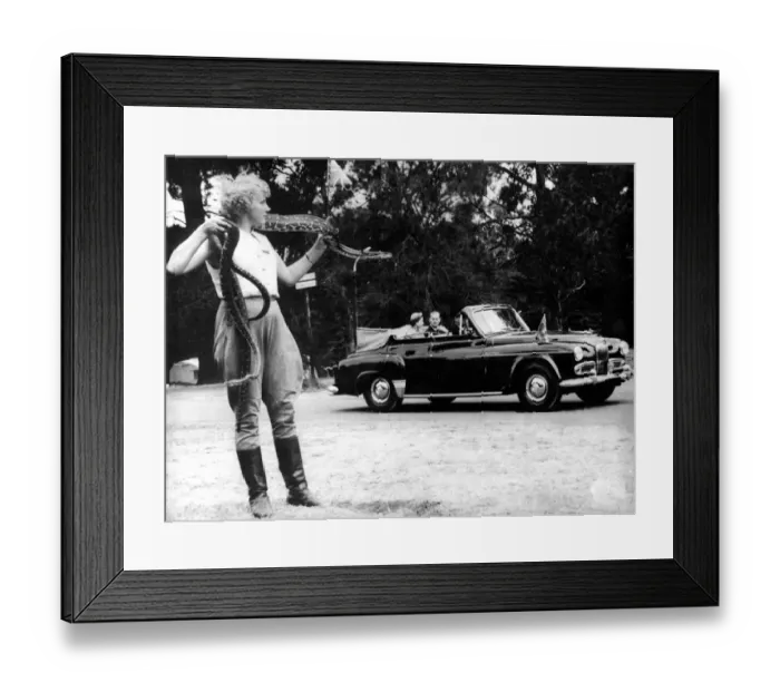 Framed Print : Shirley Weston snake girl catches the Dukes eye as she displays the carpet snake