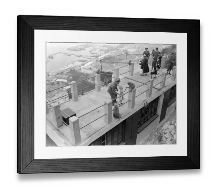 Framed Print : Princess Anne seen handing a nut to one of the apes while others get ready for a royal titbit Framed Print : Princess Anne seen handing a nut to one of the apes while others get ready for a royal titbit