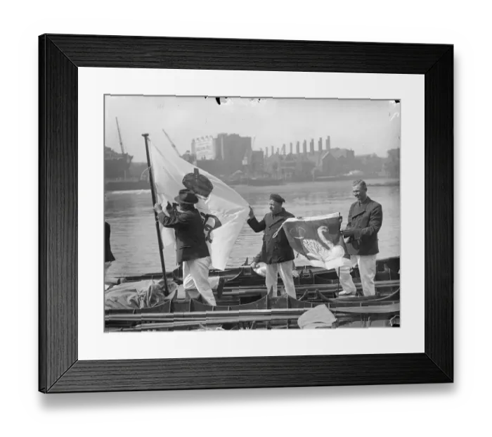 Framed Print : E R on swan uppers boat for first time. The Kings swan master and representatives of the Dyers Framed Print : E R on swan uppers boat for first time. The Kings swan master and representatives of the Dyers