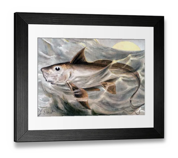 Framed Print : MONSTERS. The Chimaaera. Chromolitho by Smit. From the 1896 edition of P L Scalter s