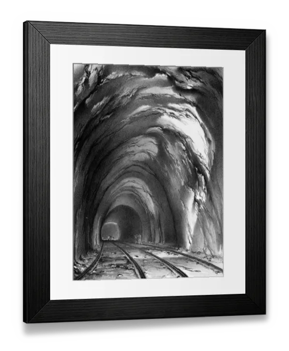 Framed Print : Long tunnel - Foxs Wood Framed Print : Long tunnel - Foxs Wood