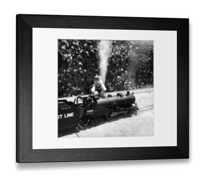Framed Print : Backyard railway, Engine of a one inch scale train as the pop valve cases a loud Framed Print : Backyard railway, Engine of a one inch scale train as the pop valve cases a loud