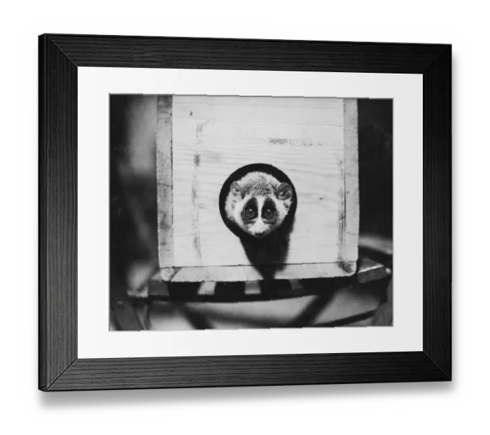 Framed Print : Whats this talk of meal restrictions. One of the items on Mr Attlees austerity Framed Print : Whats this talk of meal restrictions. One of the items on Mr Attlees austerity
