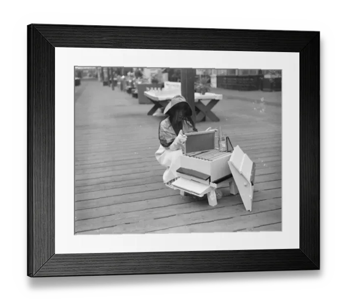 Framed Print : Bees and honey at show at Crystal Palace
