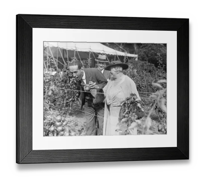 Framed Print : After making a special journey from the Isle of Arran, the Duchess of Montrose, welcomed Framed Print : After making a special journey from the Isle of Arran, the Duchess of Montrose, welcomed
