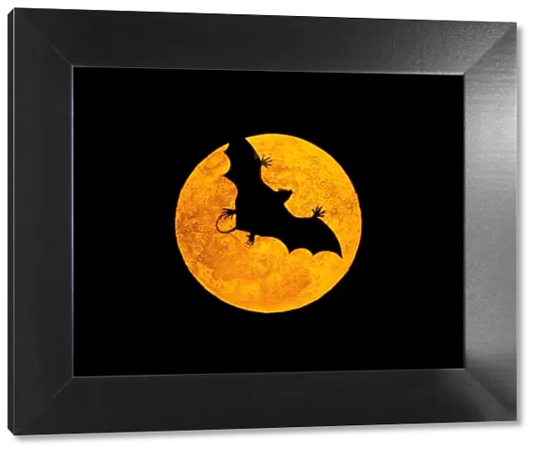 VAMPIRE - Model of vampire bat, flying in front of the Moon