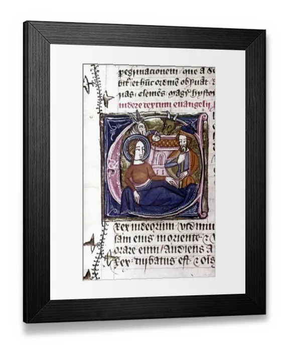 Framed Print : Nativity, Mary and Joseph with child, ox and ass