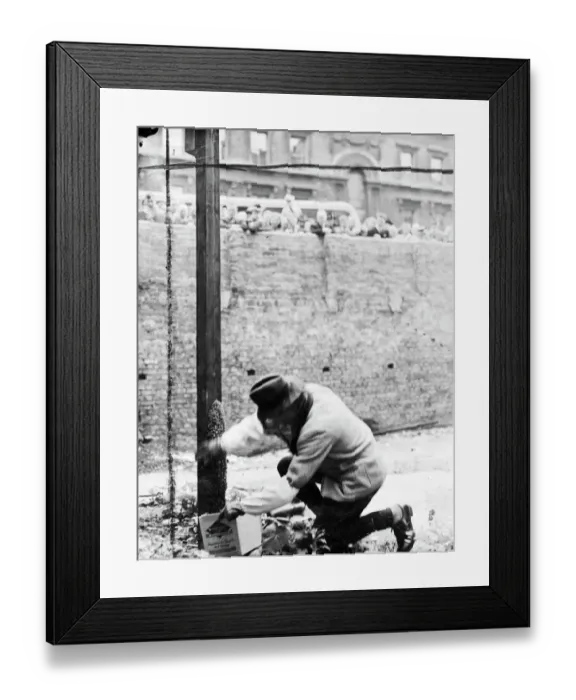 Framed Print : A swarm of bees which settled at the foot of a pole on a bomb site in Victoria Street Framed Print : A swarm of bees which settled at the foot of a pole on a bomb site in Victoria Street