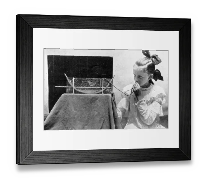Framed Print : The Queens Eggs : Legs as pollen carriers : the making of combs : Bees Framed Print : The Queens Eggs : Legs as pollen carriers : the making of combs : Bees