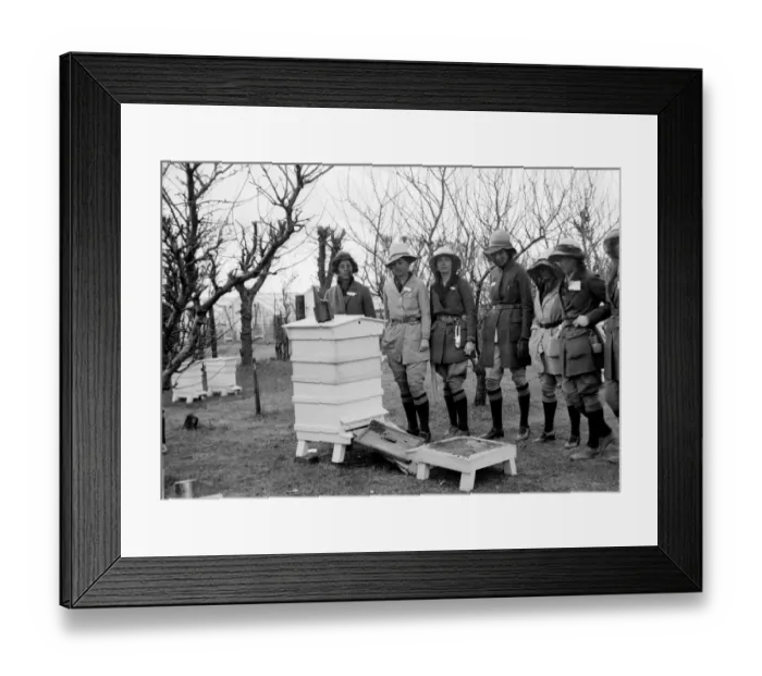 Framed Print : Swanley Horticultural College. Swanley students at demonstration. 1930 s Framed Print : Swanley Horticultural College. Swanley students at demonstration. 1930 s
