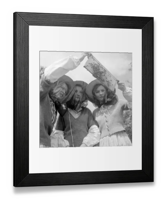 Framed Print : Sutton, Surrey : From left to right are school girls, Ann Hollier, Janet Locke Framed Print : Sutton, Surrey : From left to right are school girls, Ann Hollier, Janet Locke