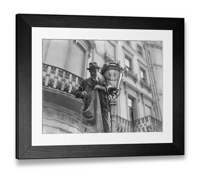 Framed Print : Mr R Ainslie the Post Office Engineer cooly removed a swarm of bees by hand, estimated at 15 Framed Print : Mr R Ainslie the Post Office Engineer cooly removed a swarm of bees by hand, estimated at 15