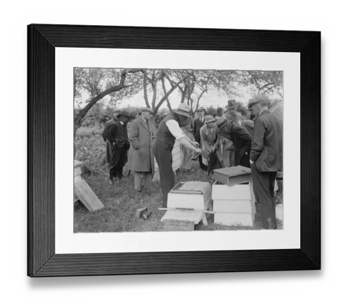 Framed Print : A Parson beekeeper showing off his hives. 1935 Framed Print : A Parson beekeeper showing off his hives. 1935