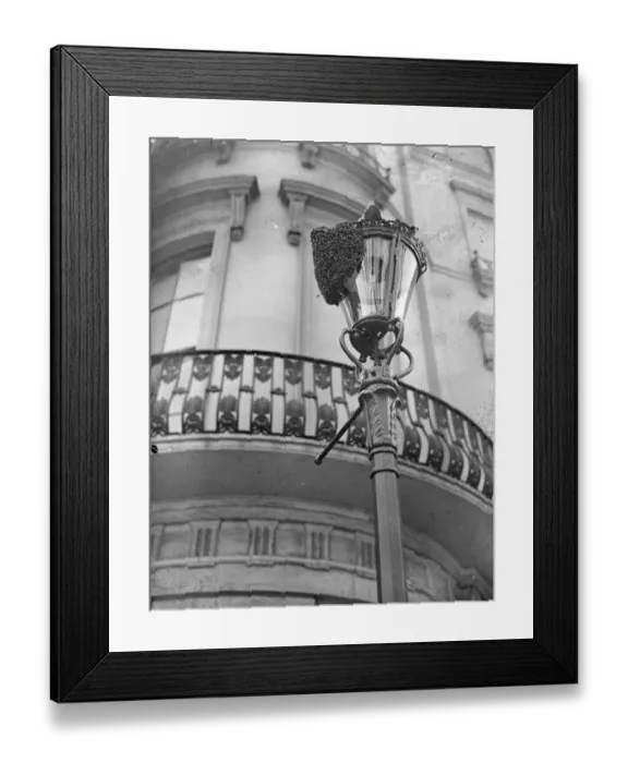 Framed Print : A swarm of bees on the lamppost in Westbourne Crescent, Bayswater Framed Print : A swarm of bees on the lamppost in Westbourne Crescent, Bayswater